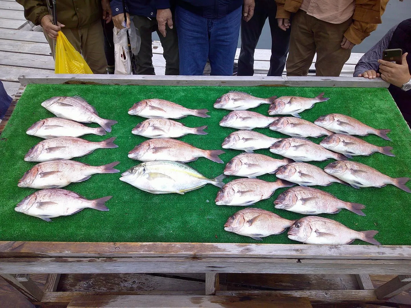 11/10（日） 釣り堀