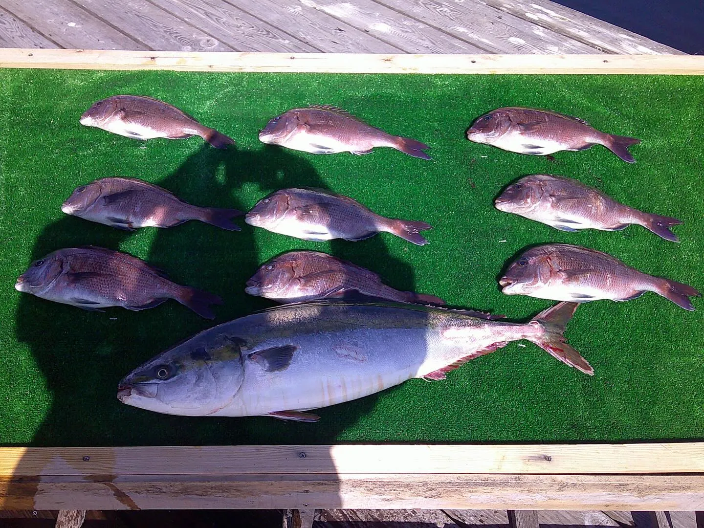 2/15(土)･2/16(日)