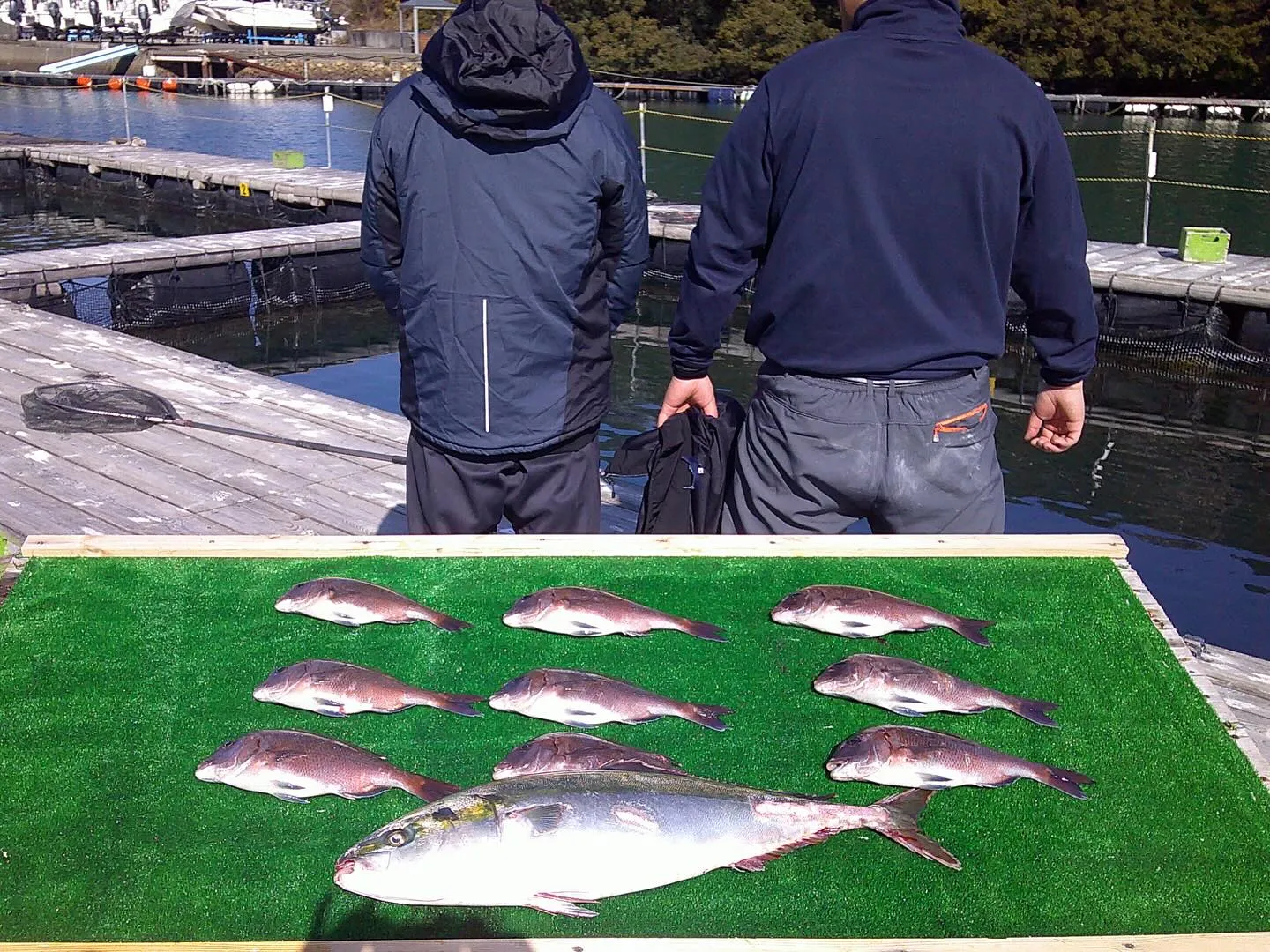 2/15(土)･2/16(日)