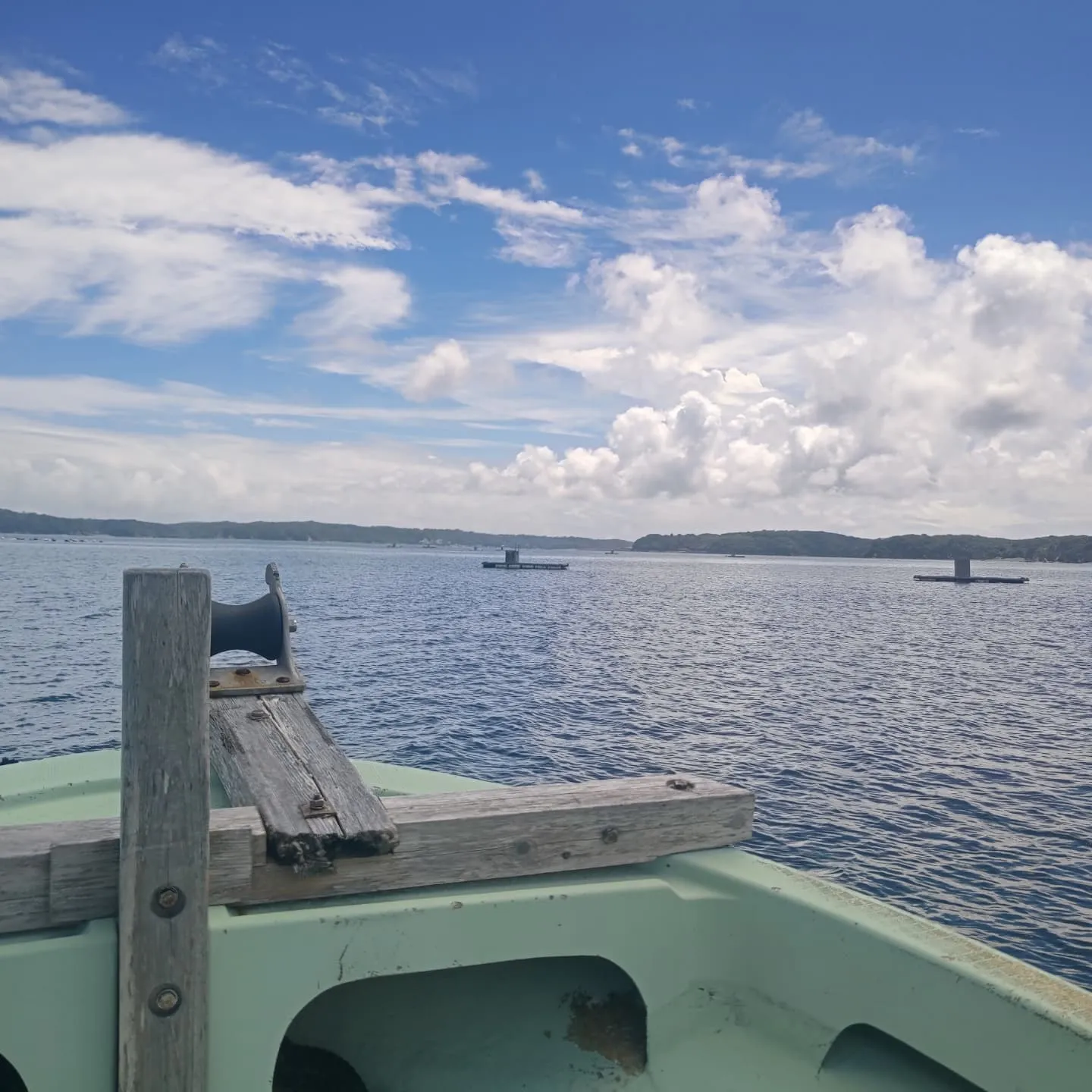 久しぶりの投稿です。