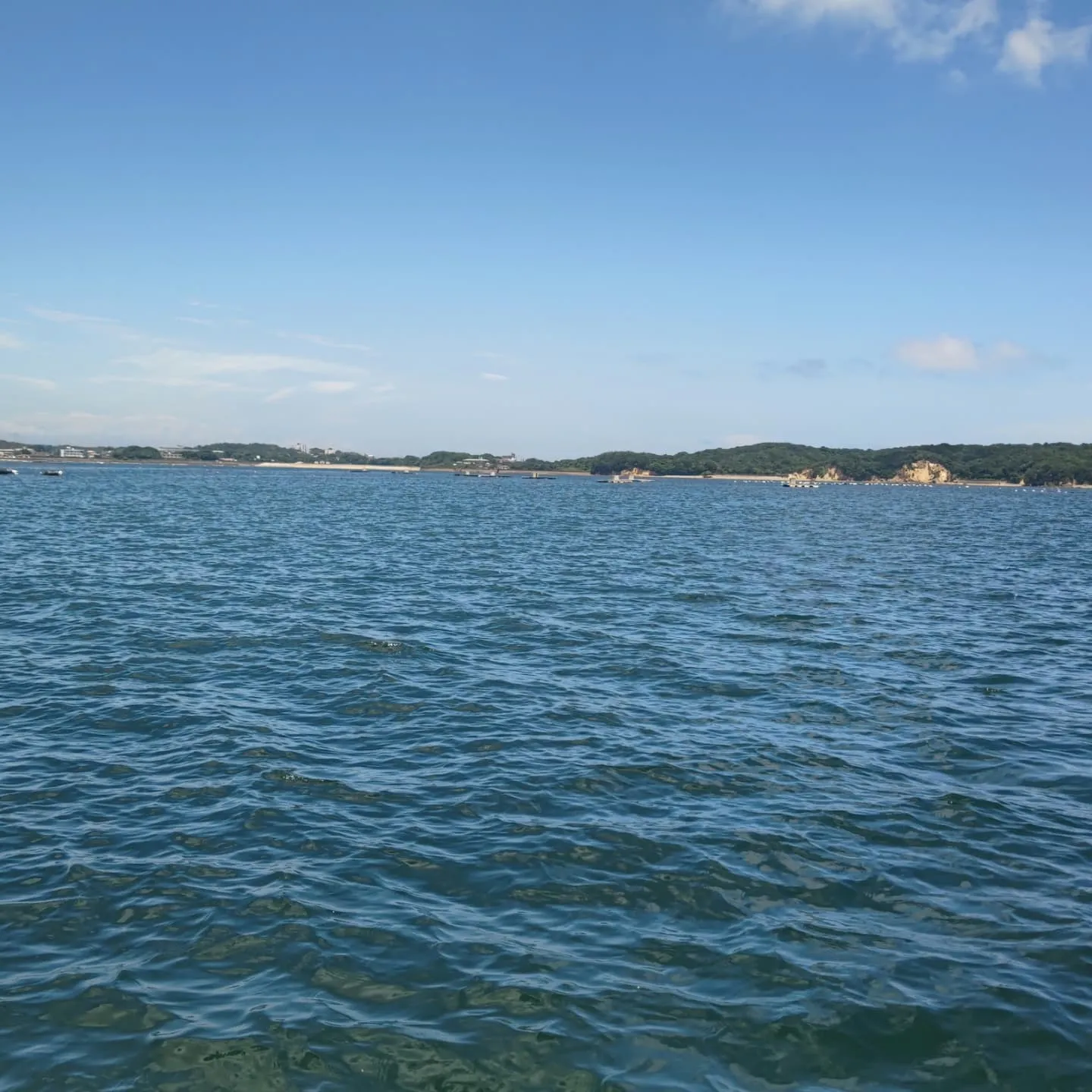 久しぶりの投稿です。