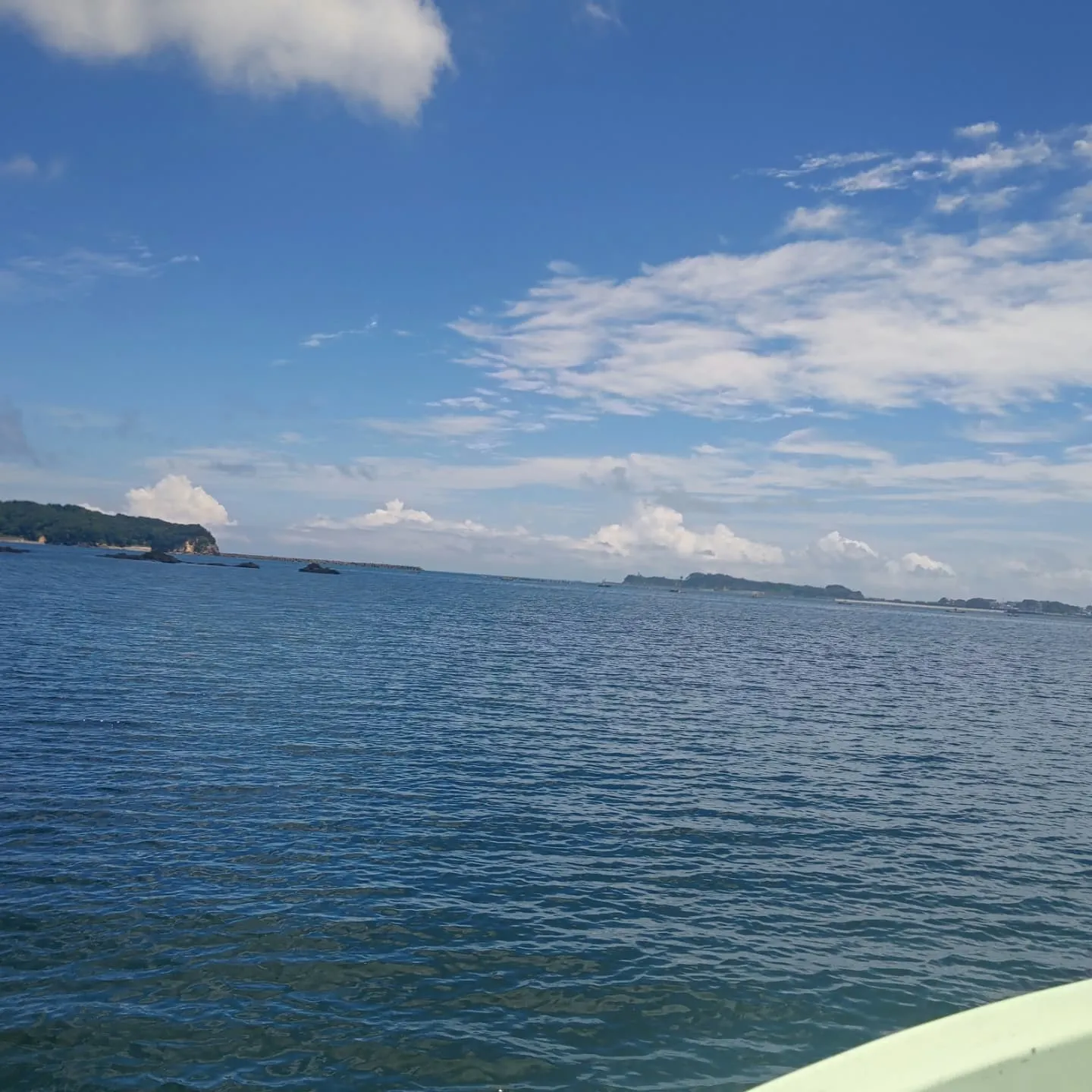 久しぶりの投稿です。