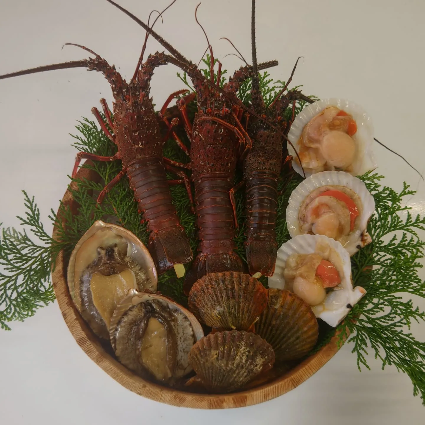 フィッシングパークトリトンです。