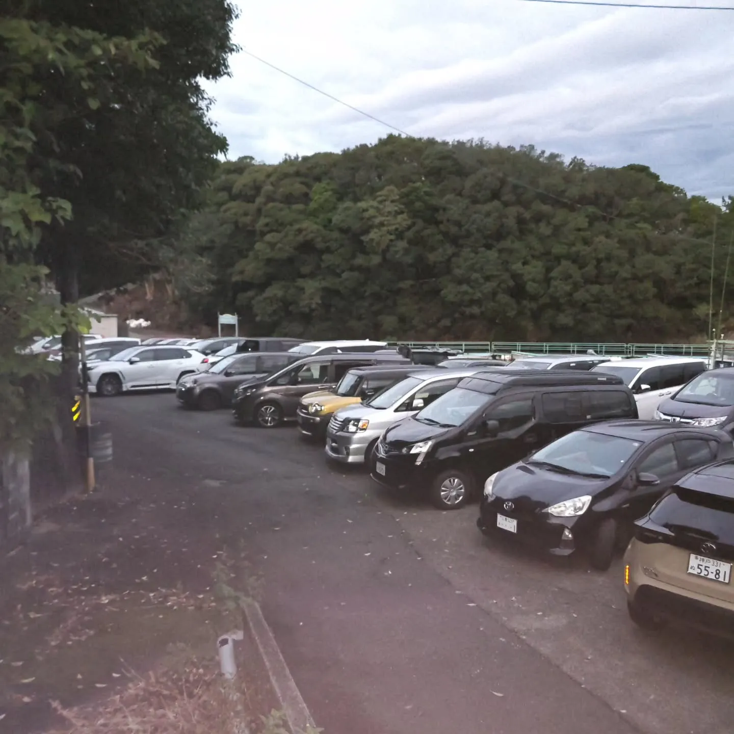 今朝のＭＦＧ開会式の様子です。