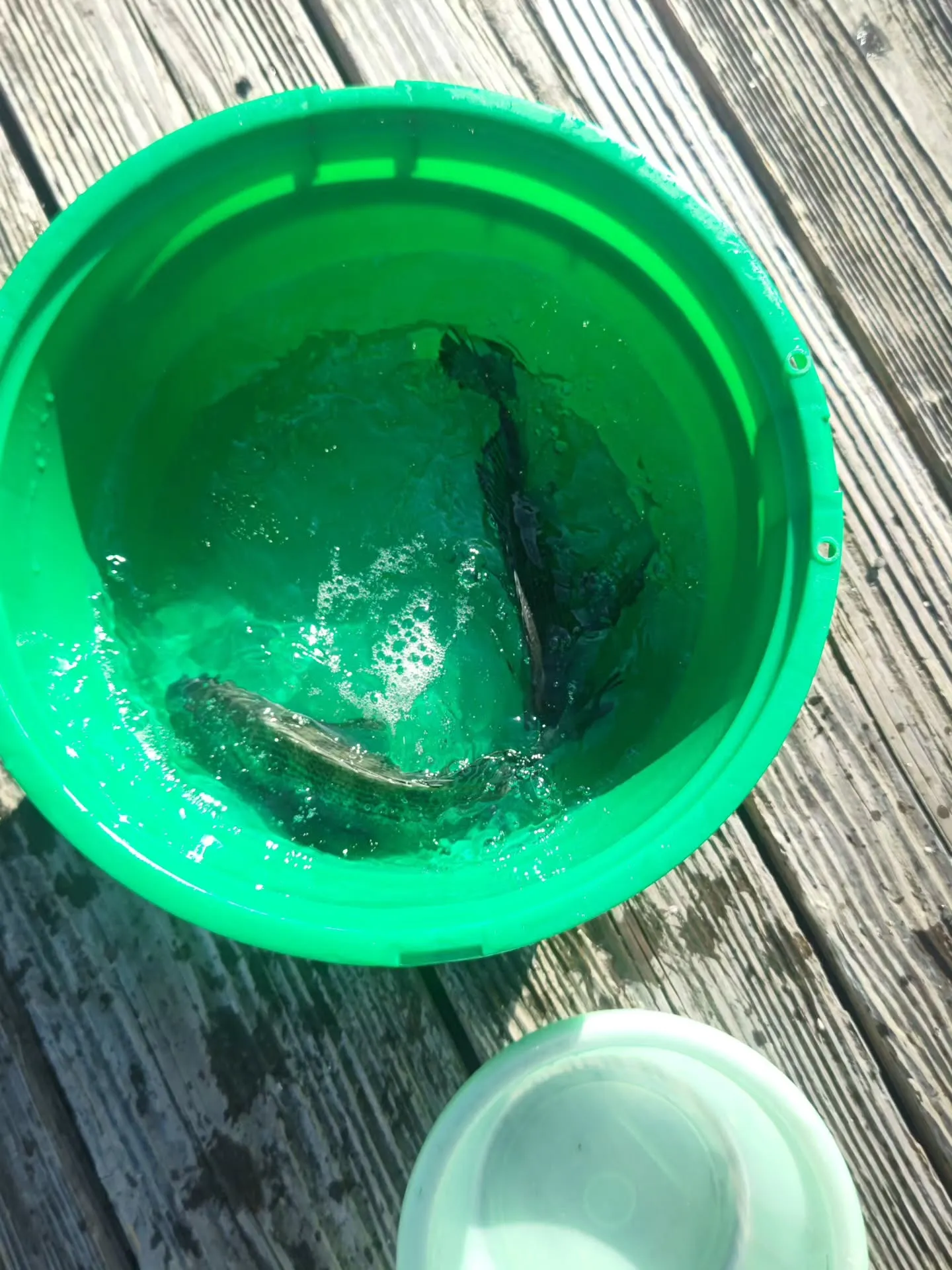 １３時に早上がりのお客様を