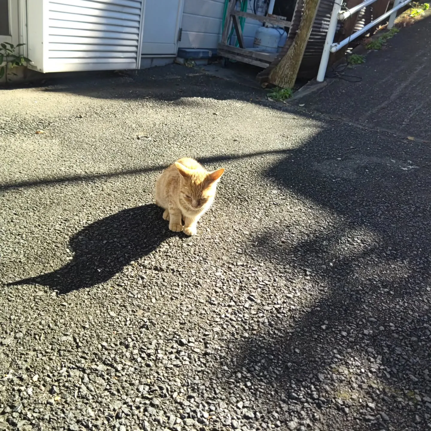 今日は週末の割にお客様が