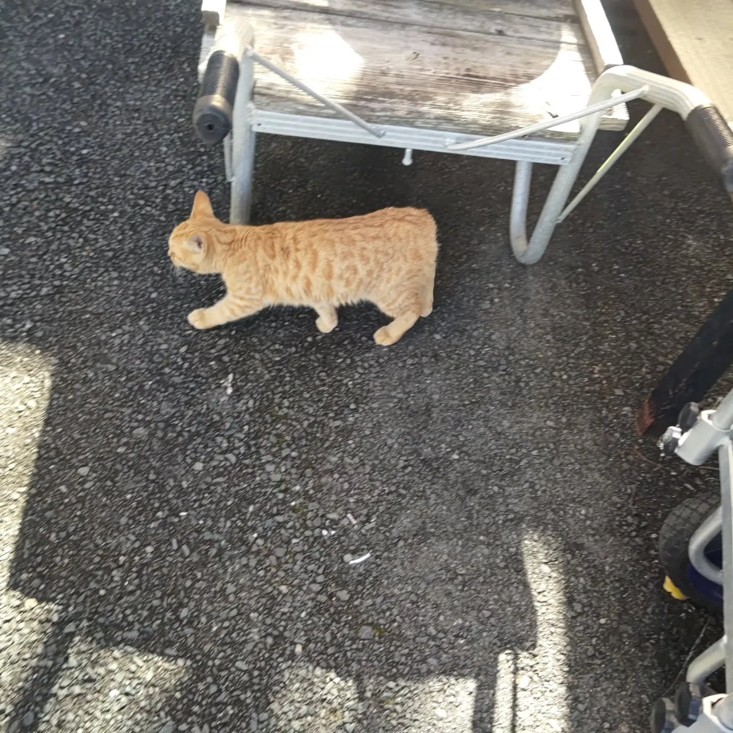 今日は週末の割にお客様が