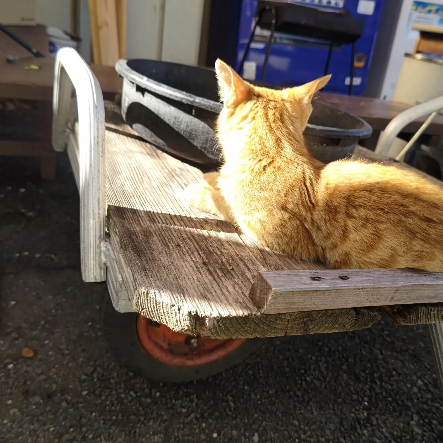 今日は週末の割にお客様が