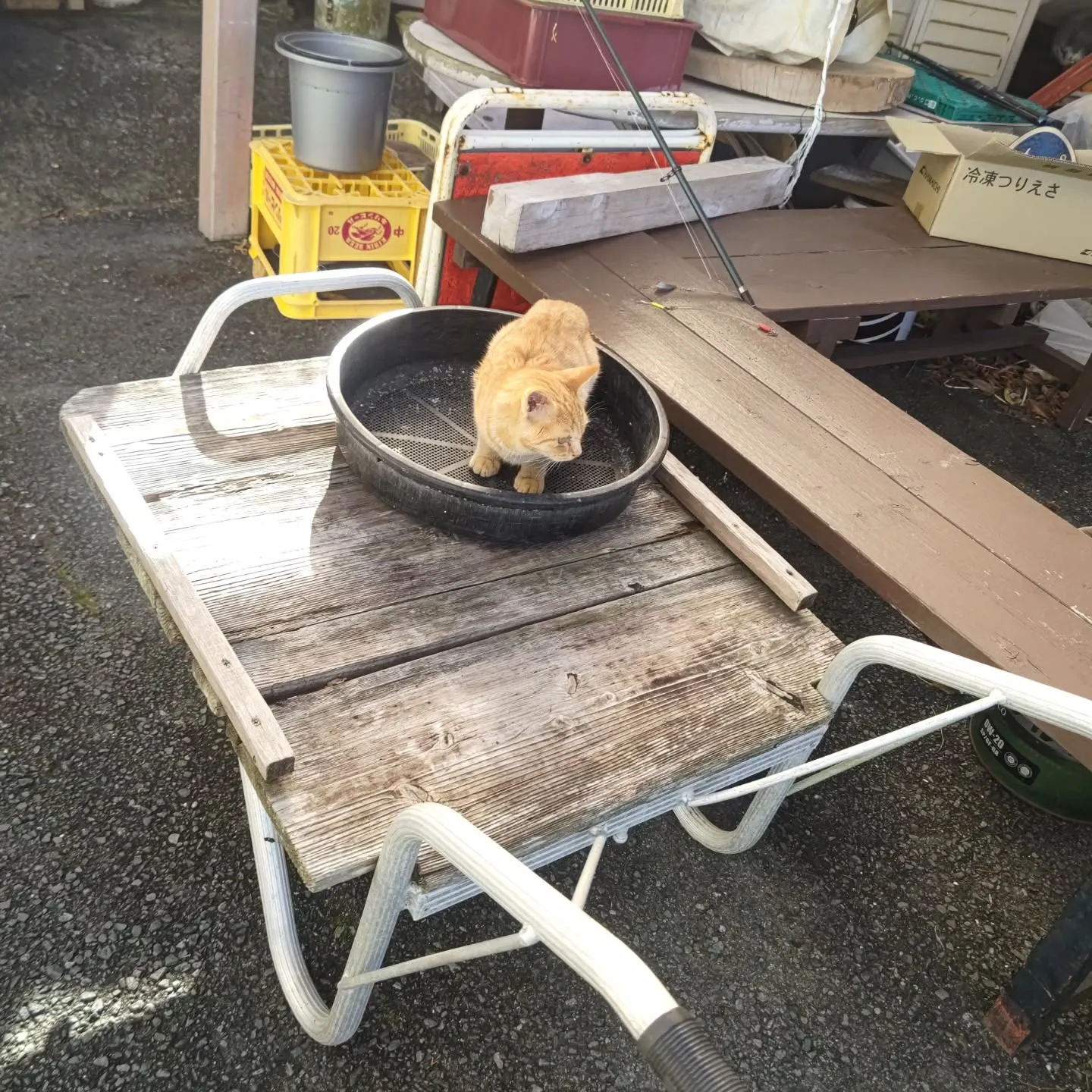 今日は週末の割にお客様が