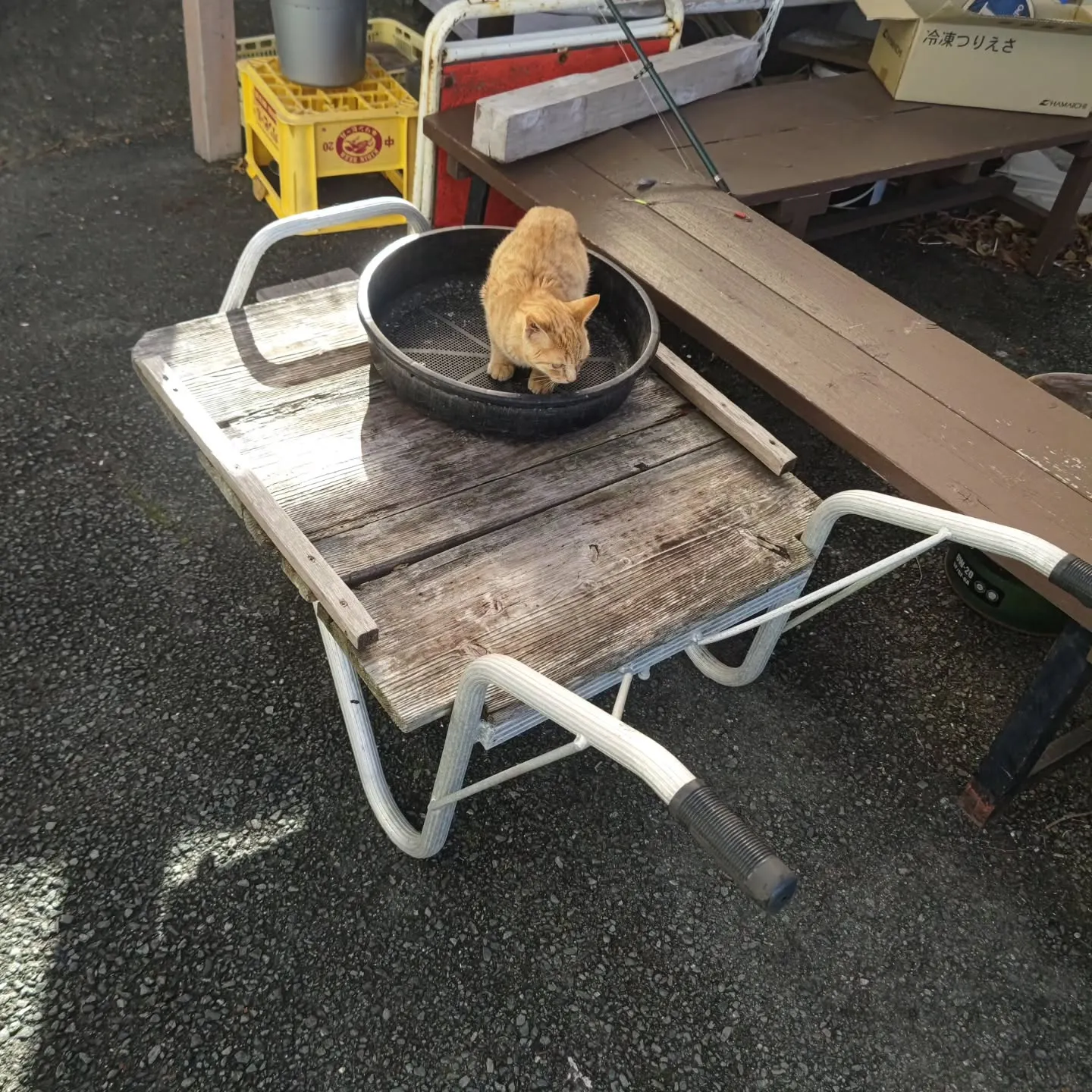 今日は週末の割にお客様が