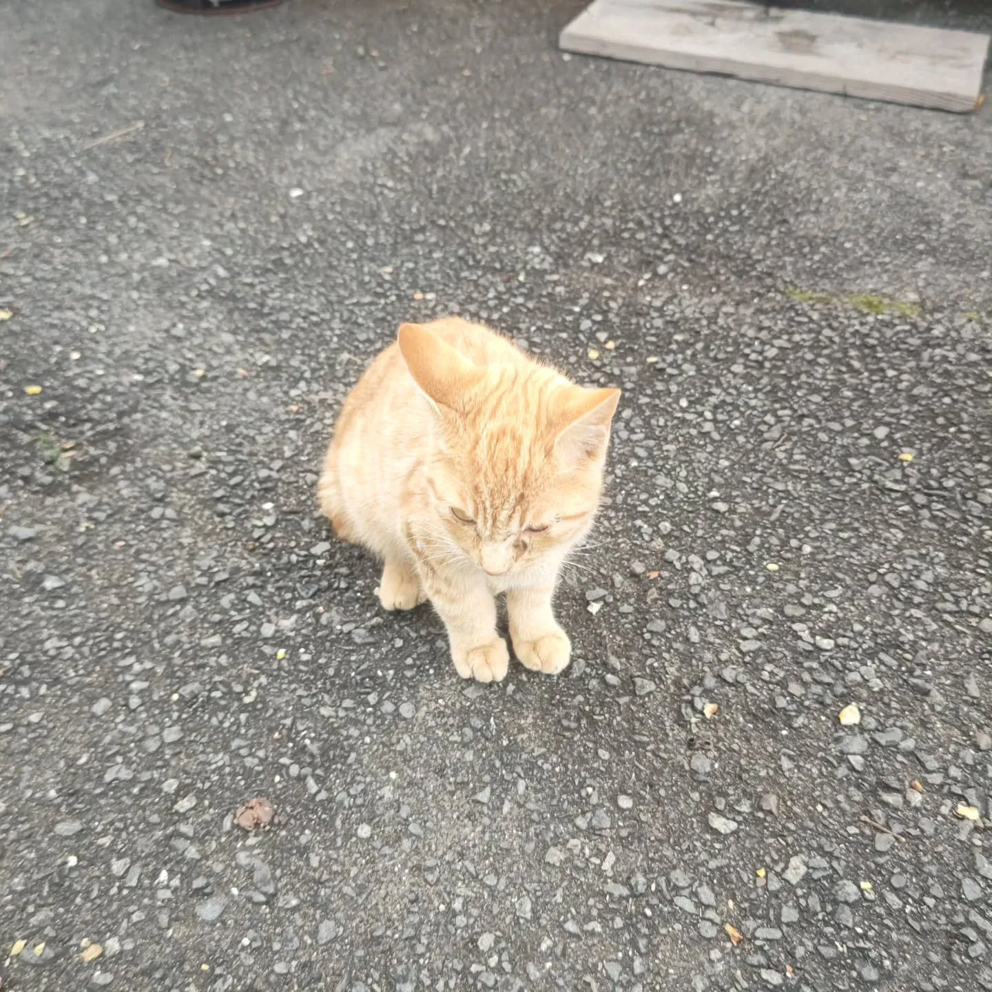 今日は週末の割にお客様が