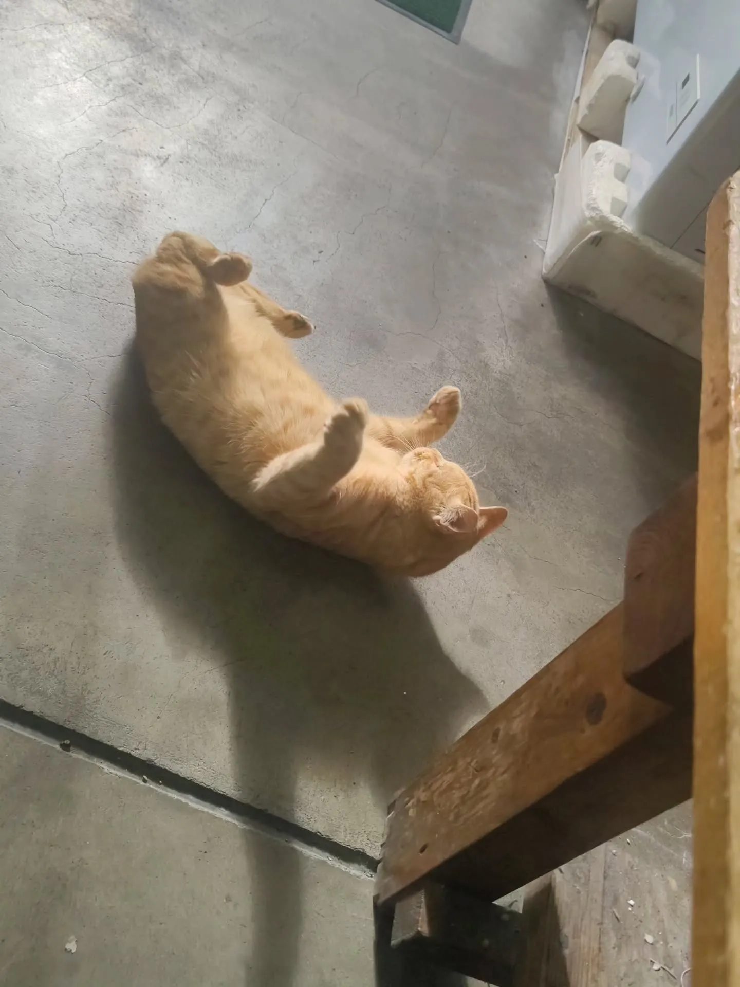 新年明けましておめでとうございます。