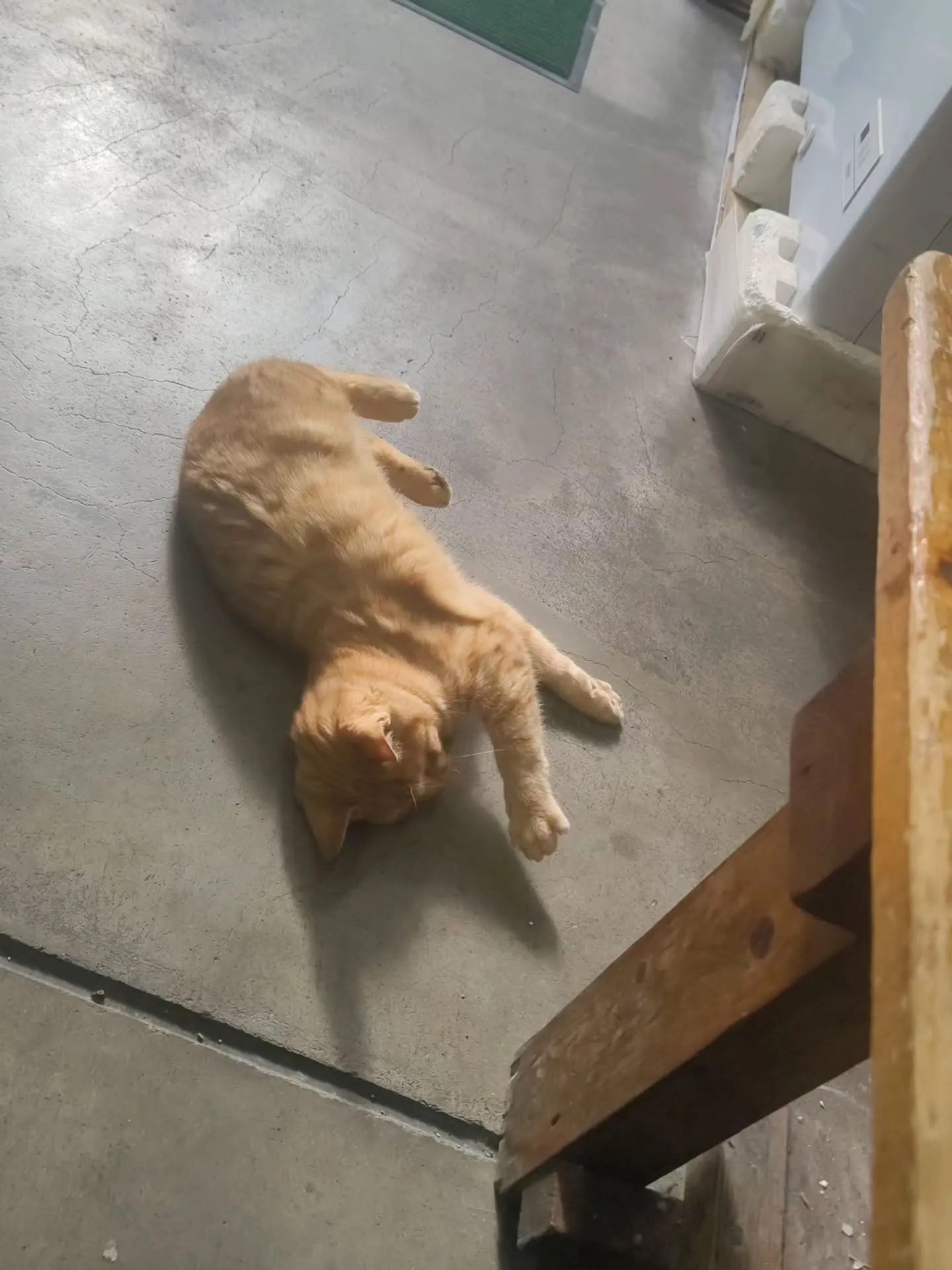 新年明けましておめでとうございます。