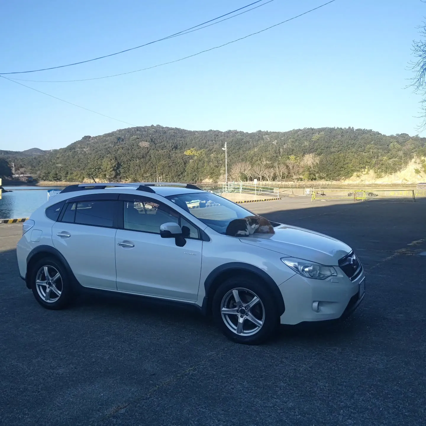 私のクルマですが