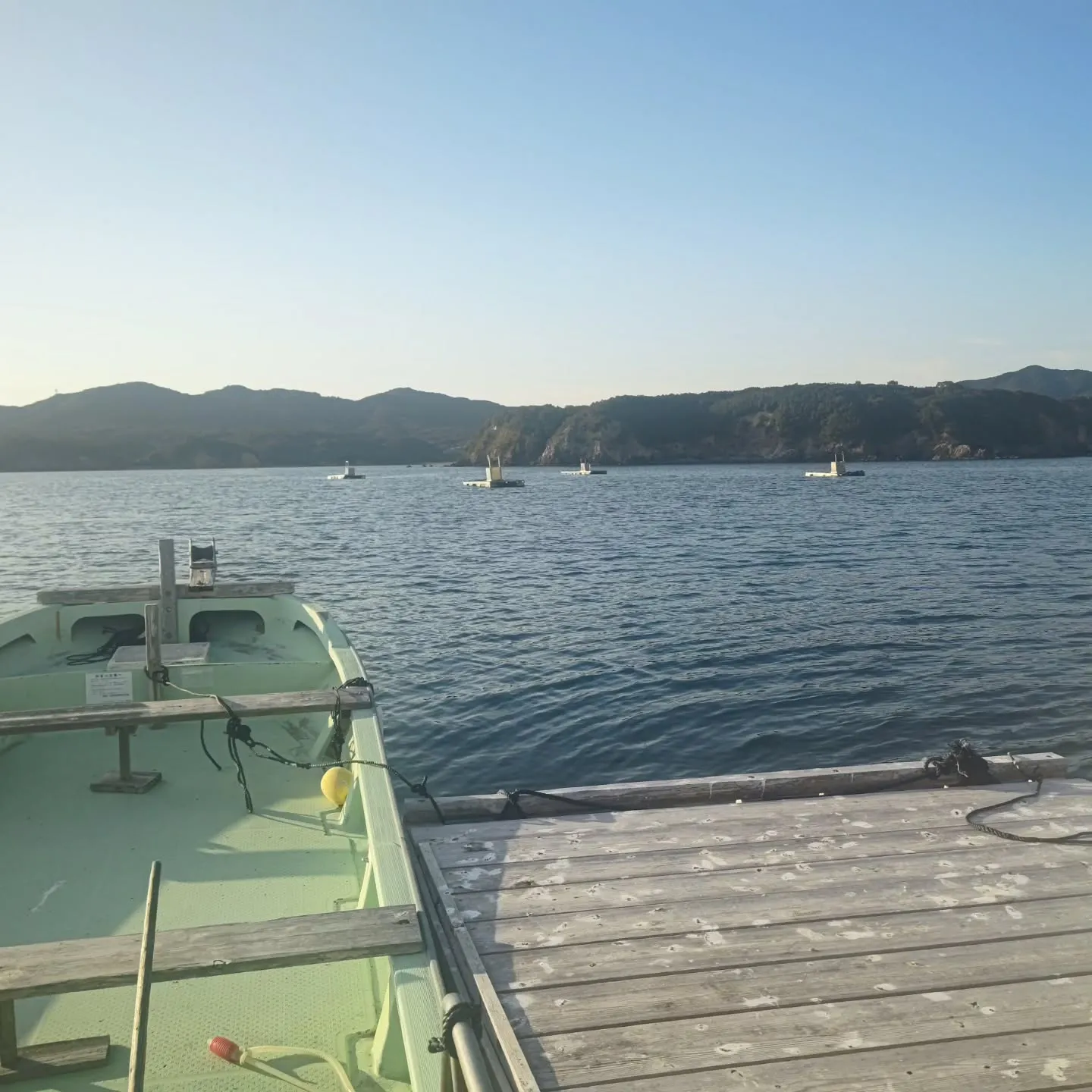 沖のイカダの被害確認に行ってました。