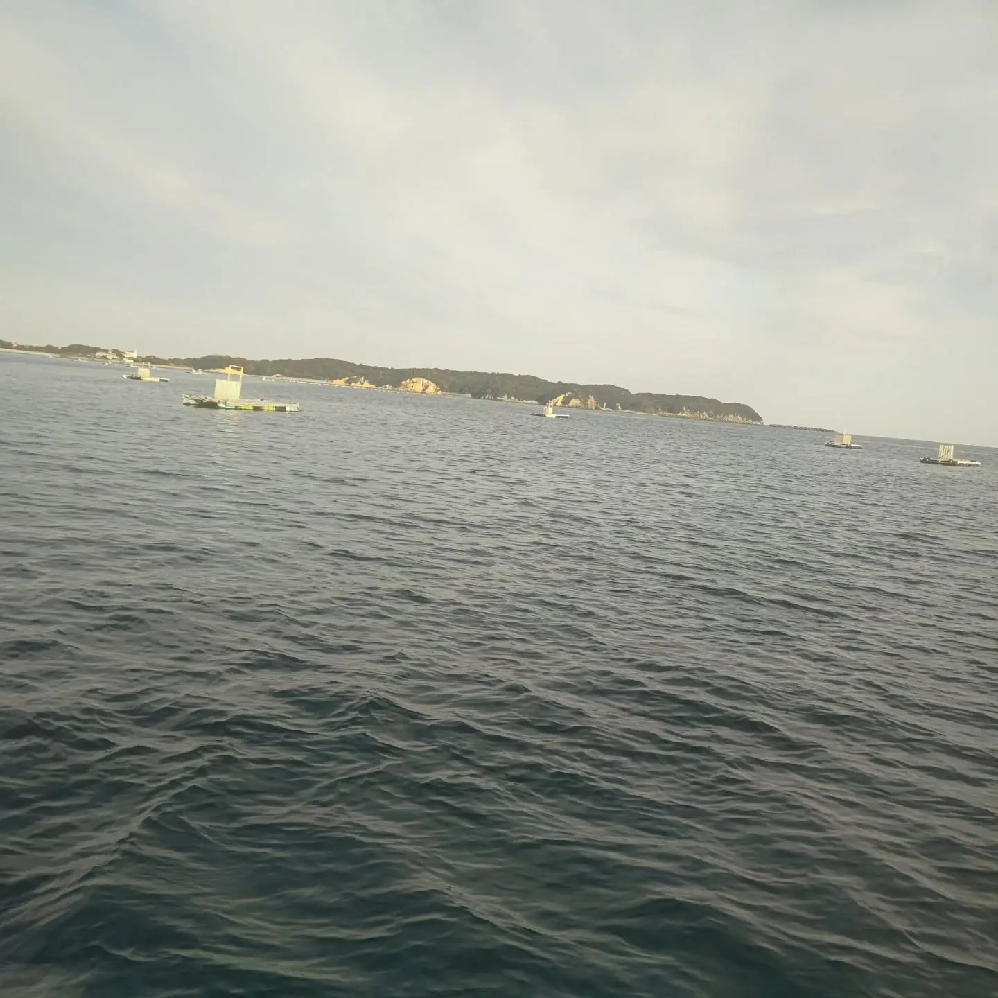 沖のイカダの被害確認に行ってました。