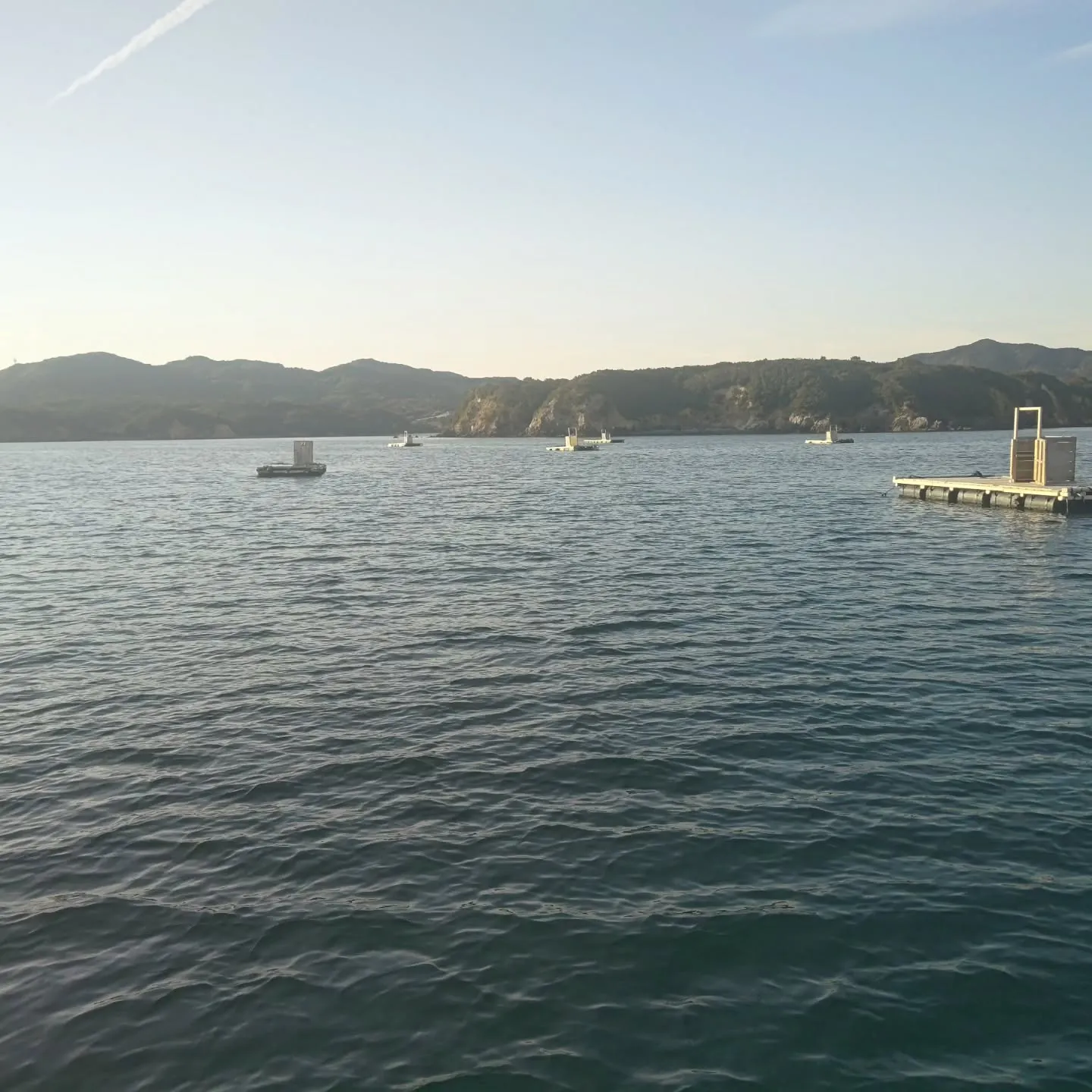 沖のイカダの被害確認に行ってました。