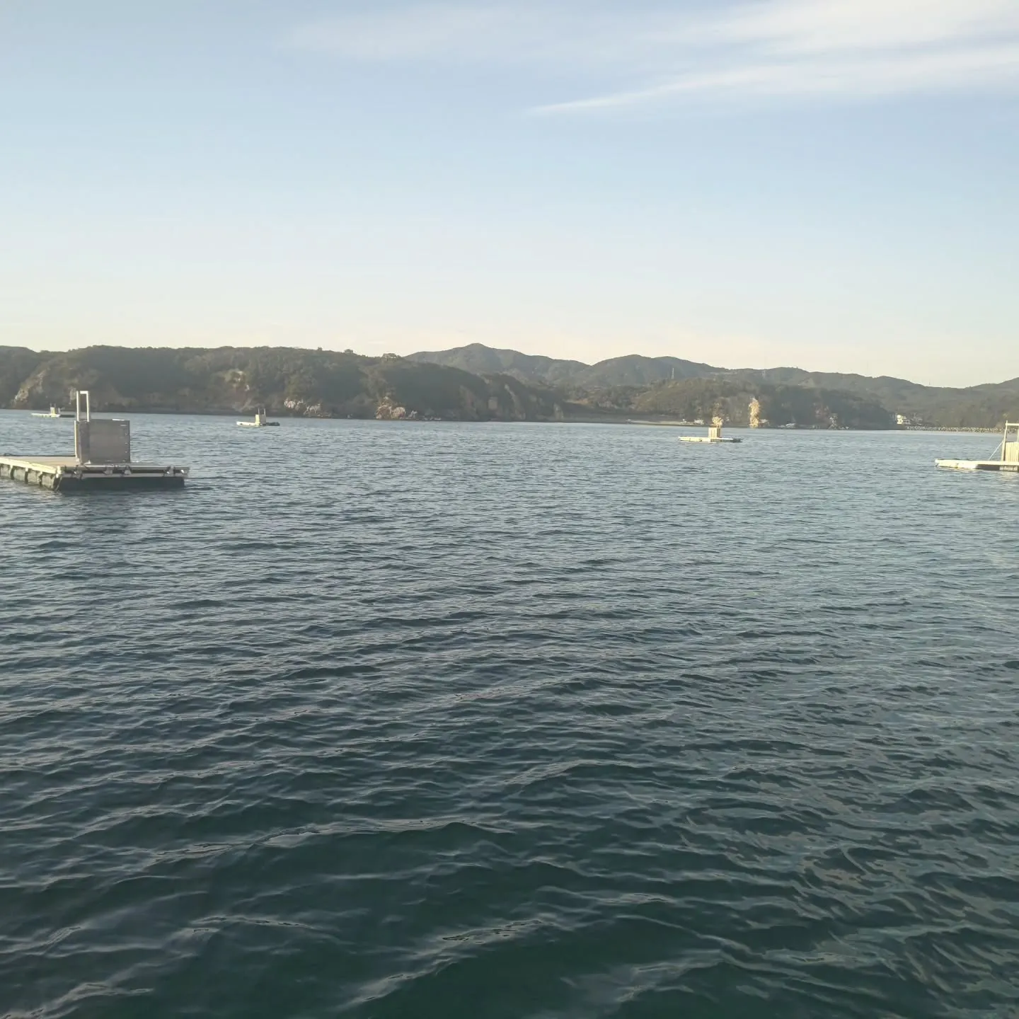 沖のイカダの被害確認に行ってました。