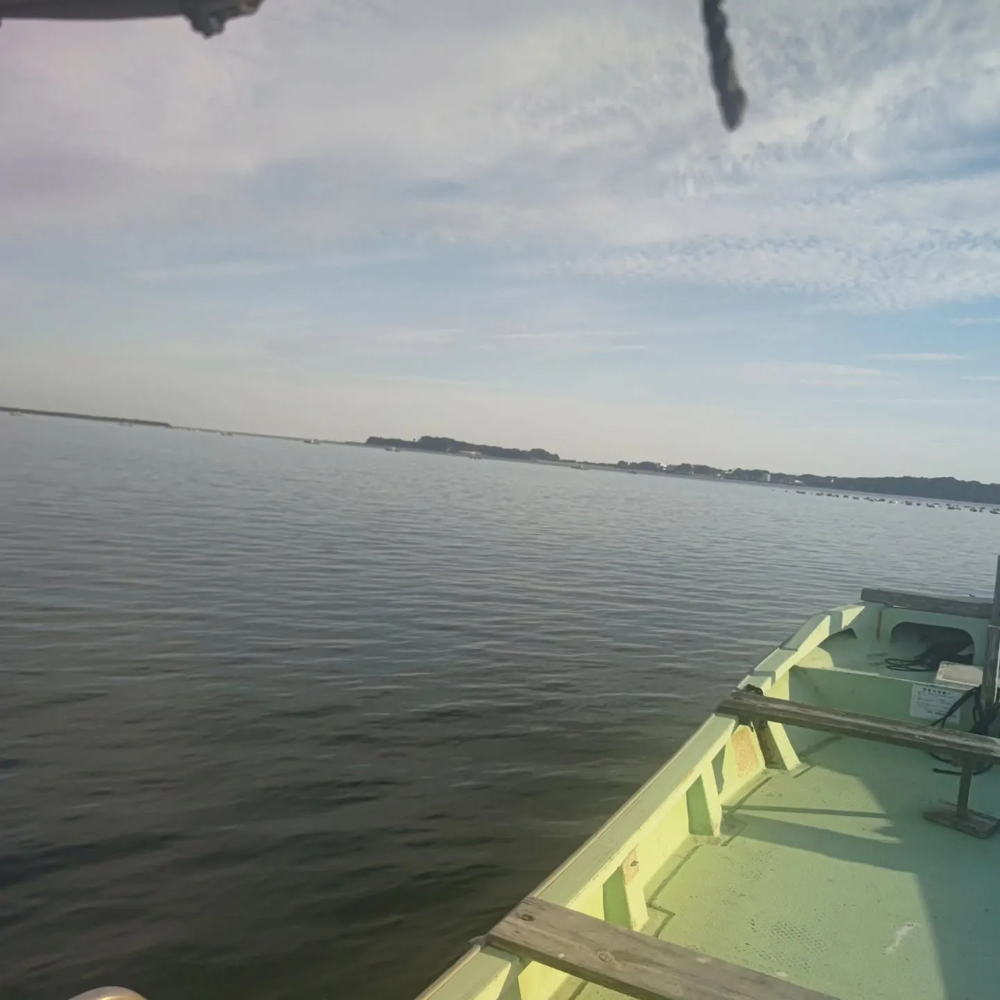 沖のイカダの被害確認に行ってました。