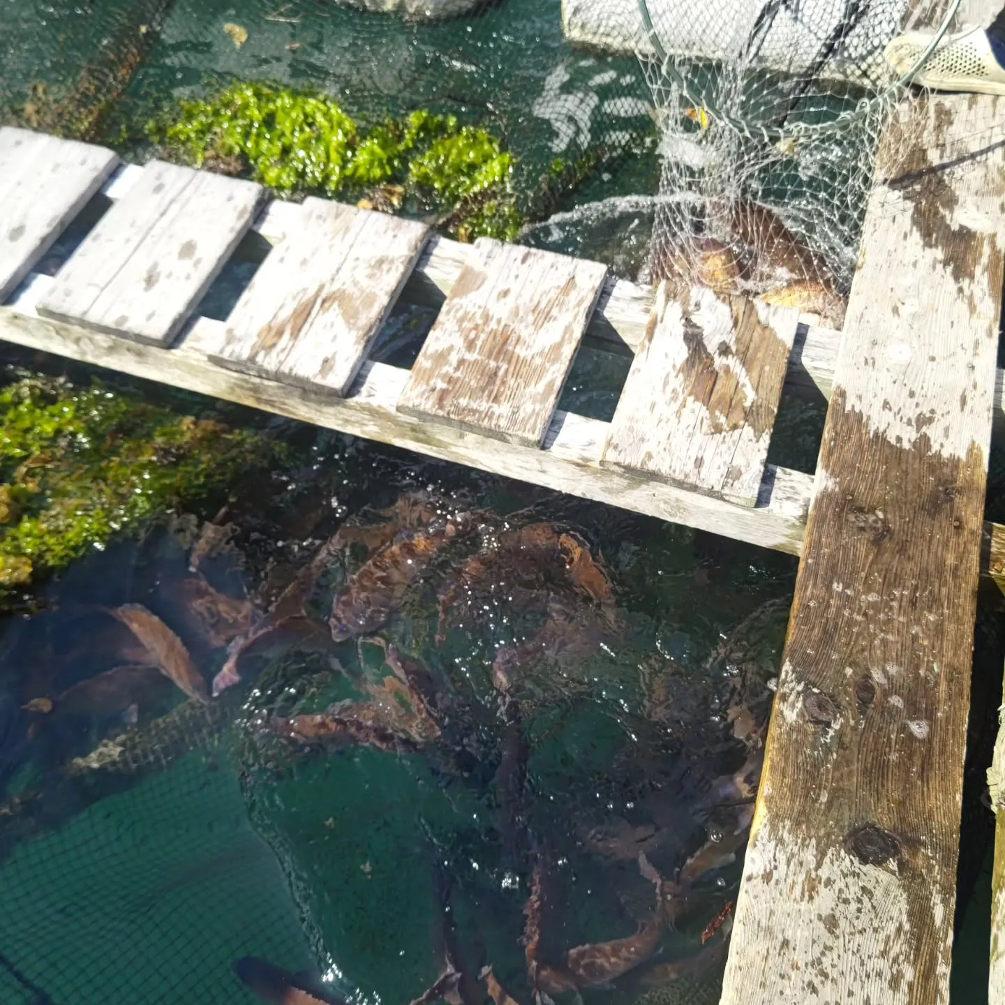 ２月中はメンテナンスのため