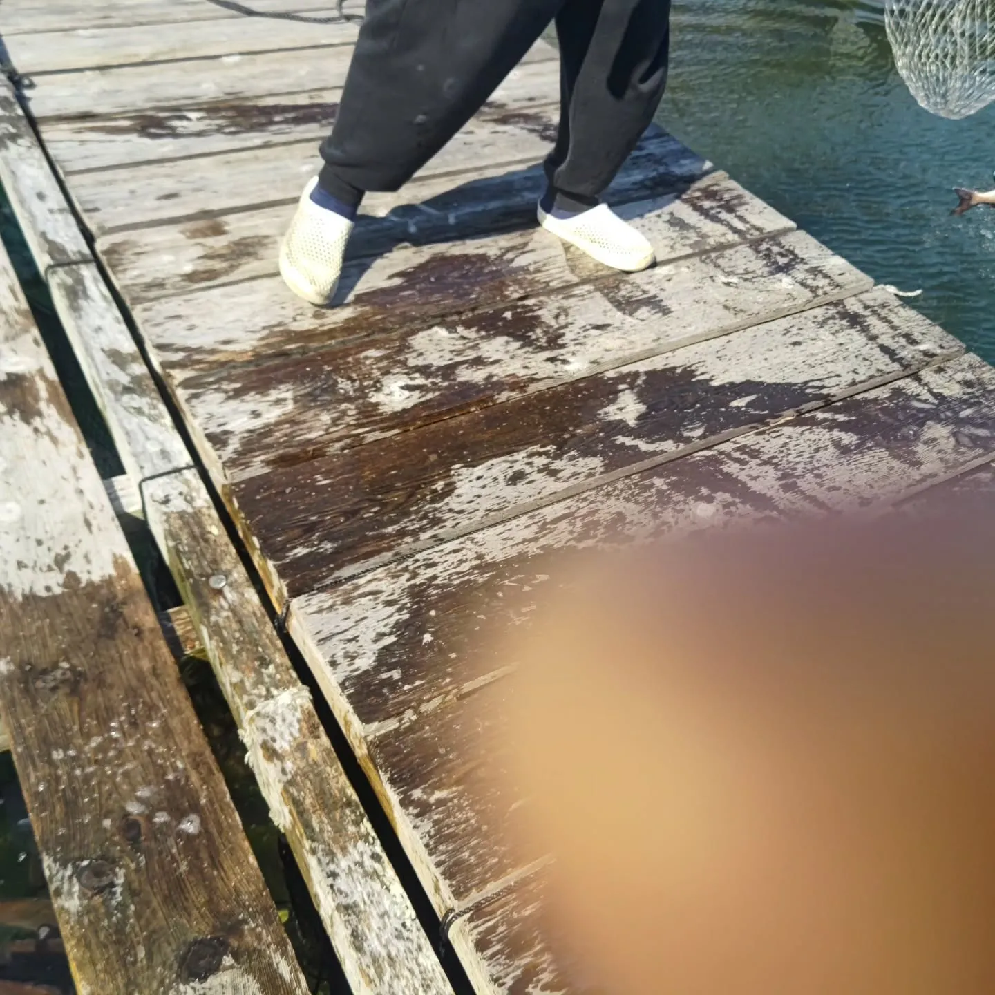 ２月中はメンテナンスのため