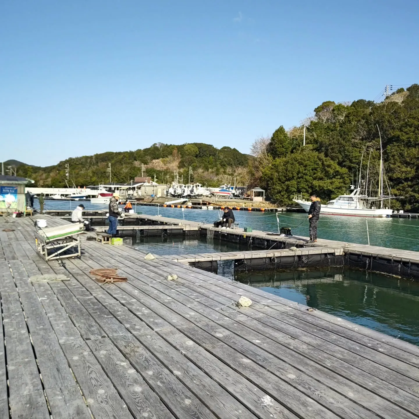 本日も強風で寒かったですが、