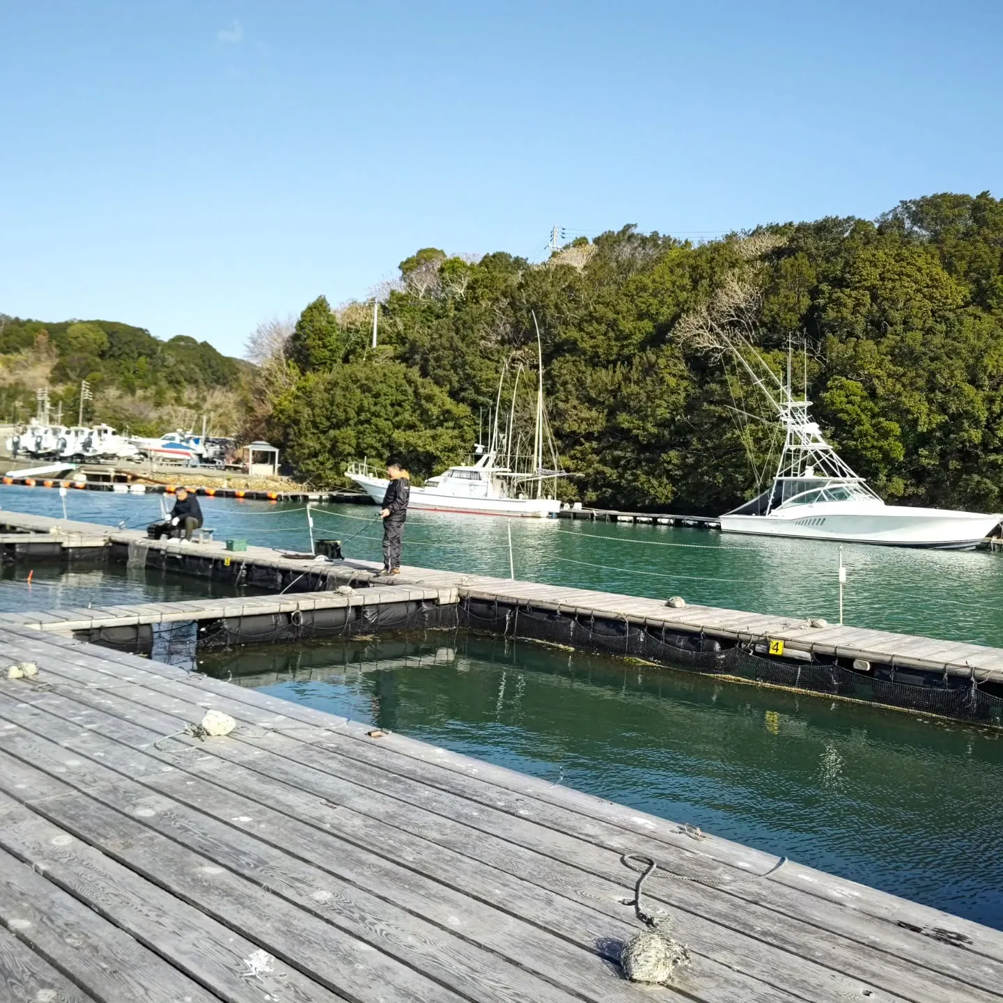 本日も強風で寒かったですが、