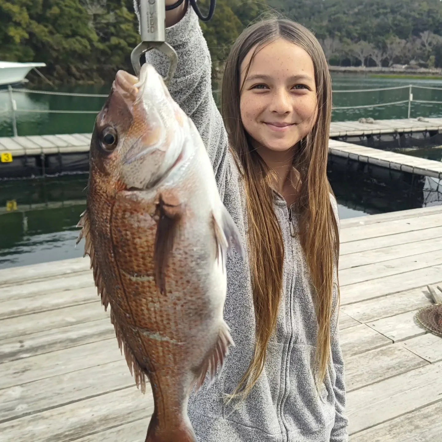 アメリカ合衆国のハワイ州から