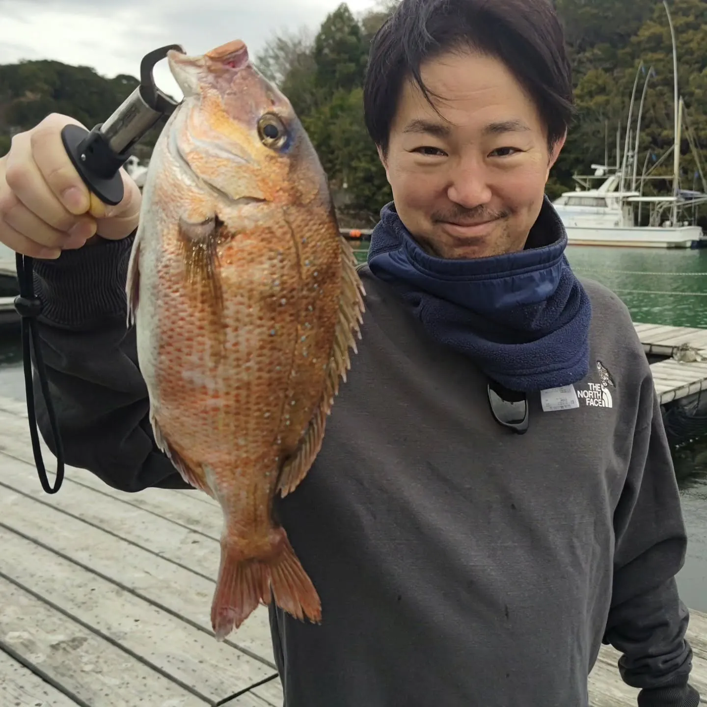 本日のお客様です。