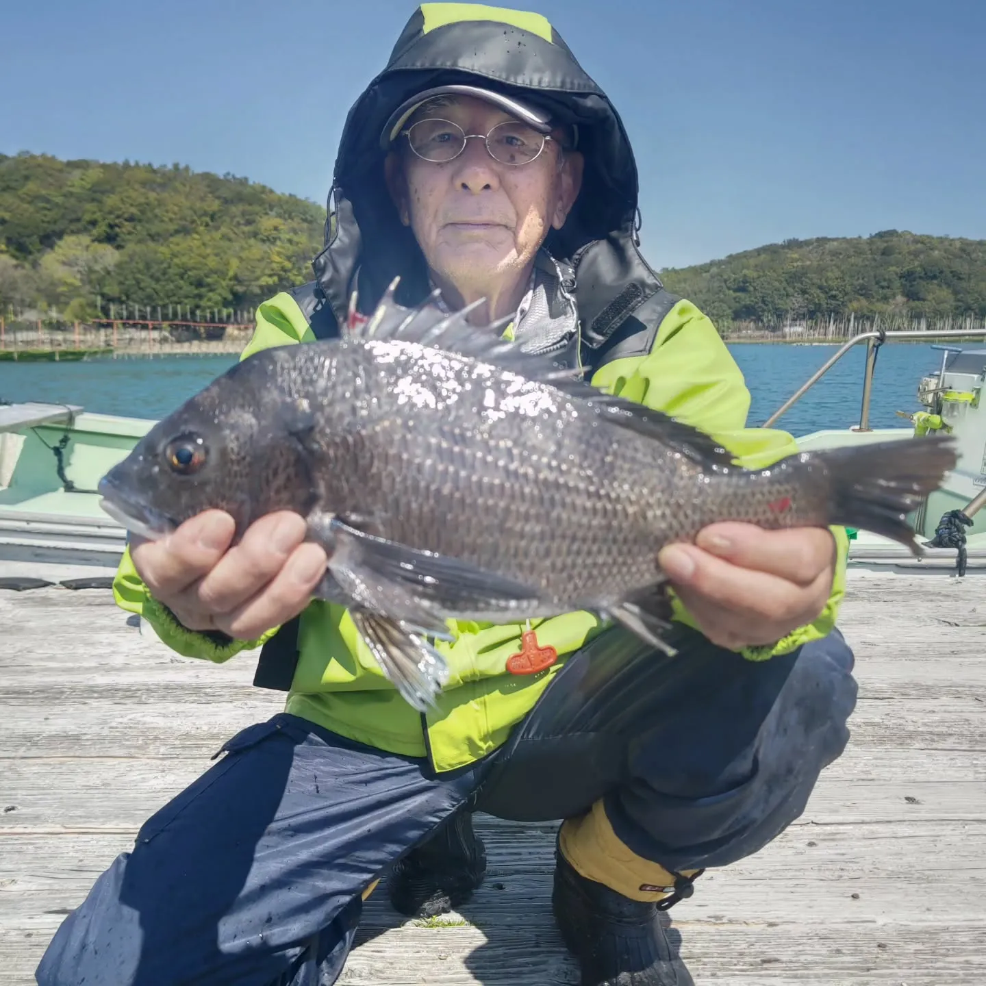 昨日は爆風の中でしたが、今期の初チヌが