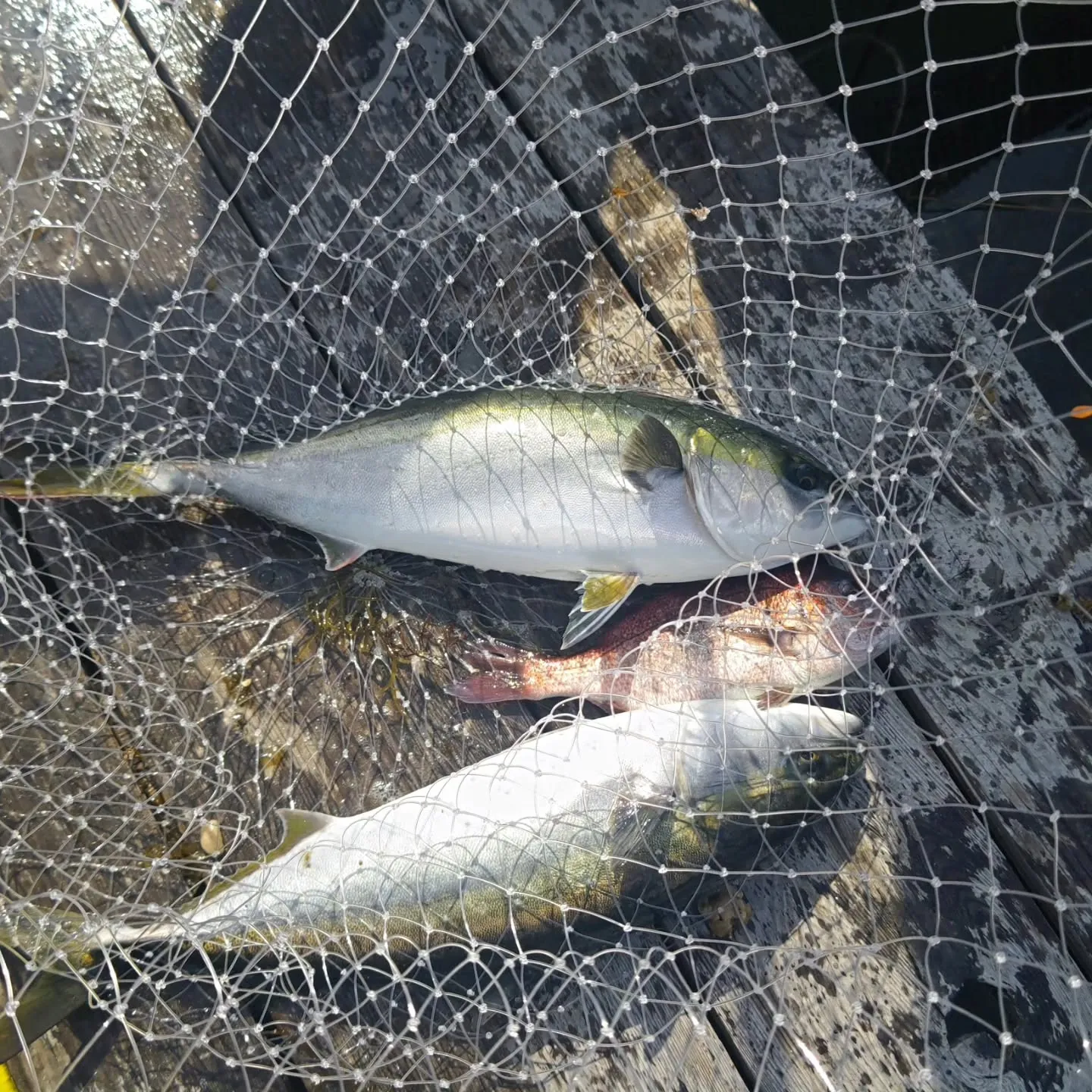 本日は東海防水改修工事共同組合様