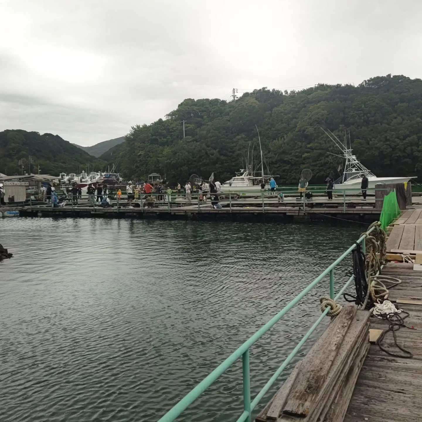 朝の早い時間帯には曇っているだけで
