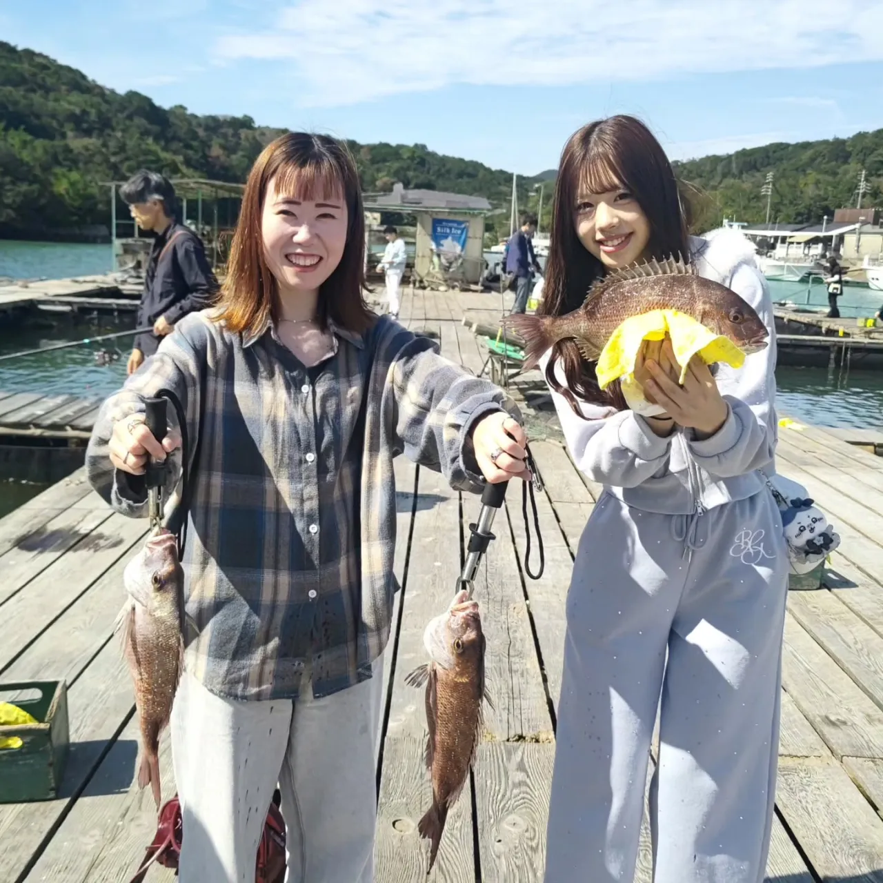 遅くなりましたが