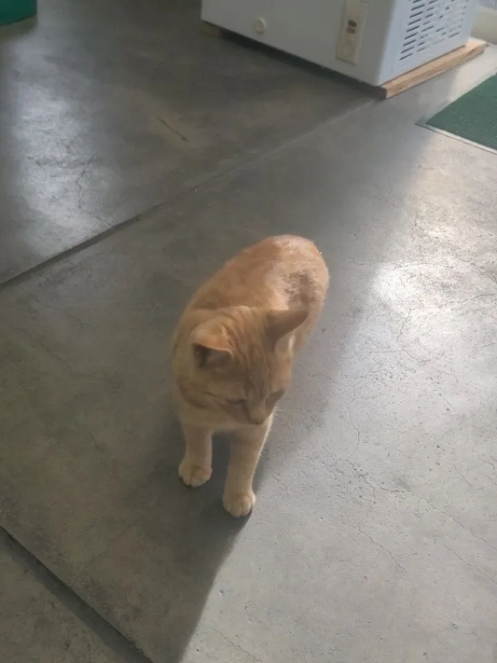 新年明けましておめでとうございます。